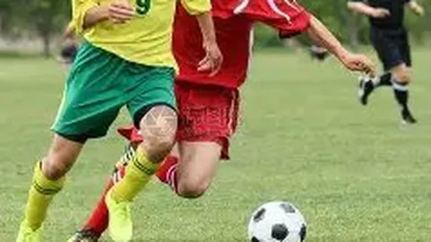 布莱恩兄弟美网后宣布网球生涯落幕