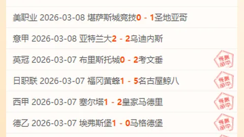 巅峰二传对决：刁琳宇展现灵活多变，姚迪稳健助力副攻突破